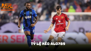 Tổng quan về tỷ lệ cá cược bóng đá