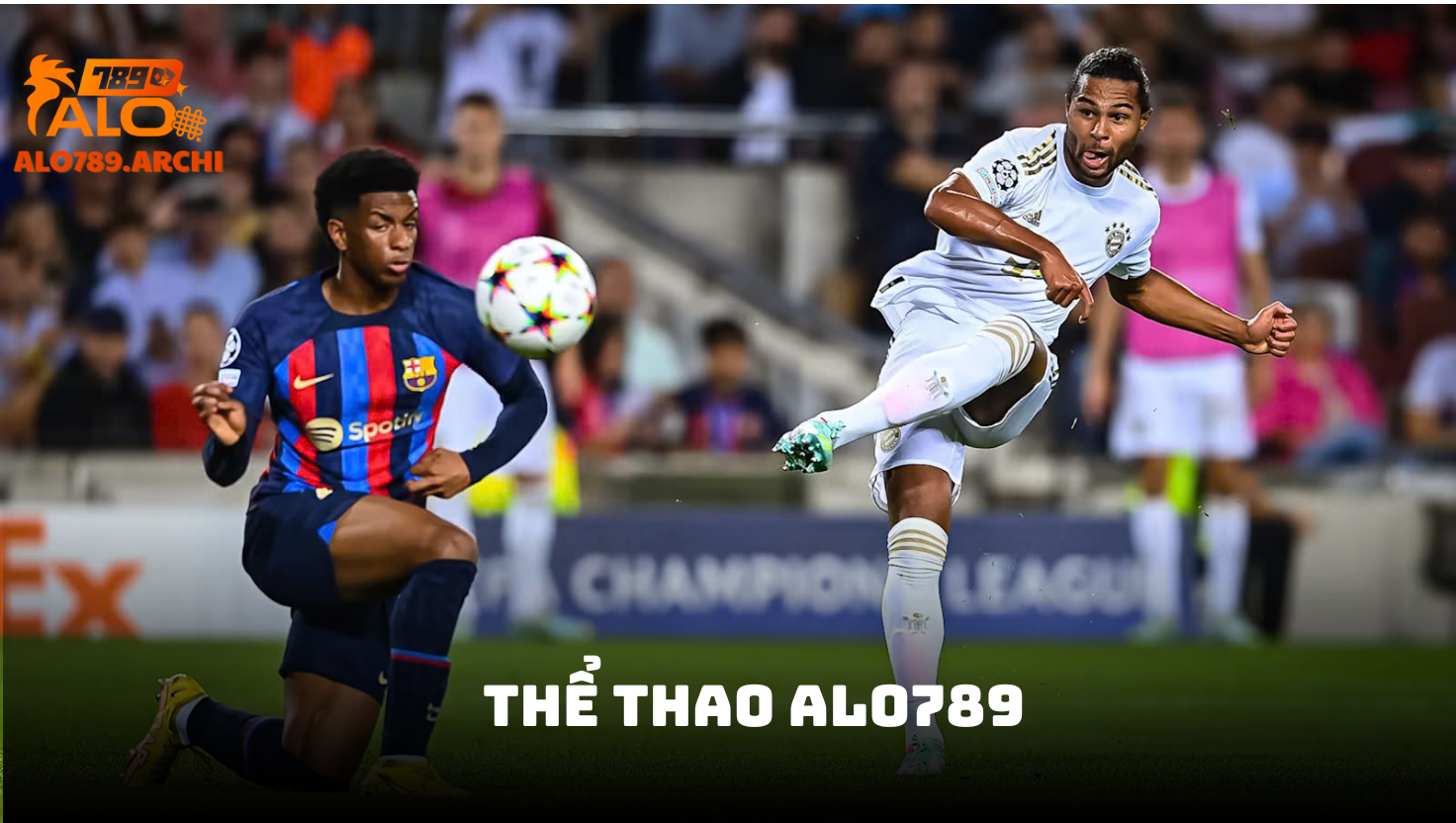 Tổng quan sảnh thể thao ALO789