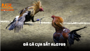 Đá gà cựa sắt tại ALO789 – Hành trình chinh phục đấu trường kịch tính